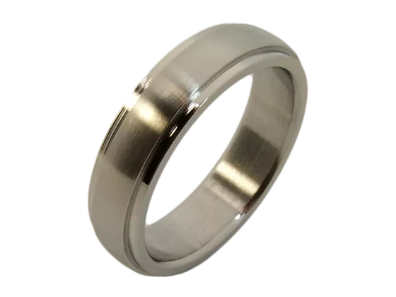 Gustav - single ring (stainless steel)