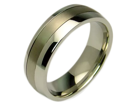 Hero - single ring (stainless steel & titanium)