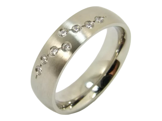 Josephine - single ring (stainless steel)