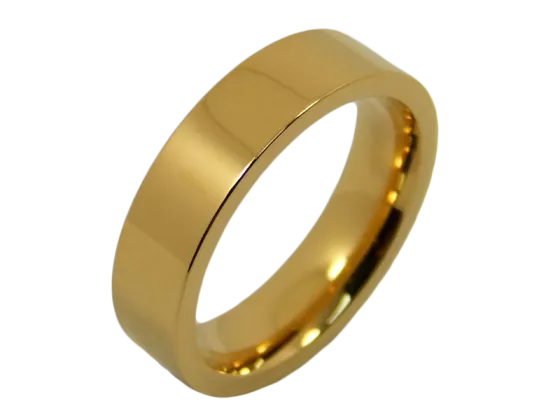 Bill - single ring (stainless steel)