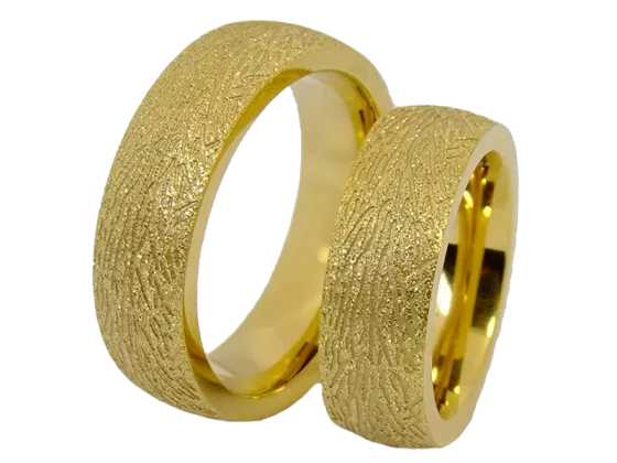 Pascal - a pair of rings (stainless steel)