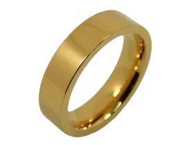 Bill - single ring (stainless steel)